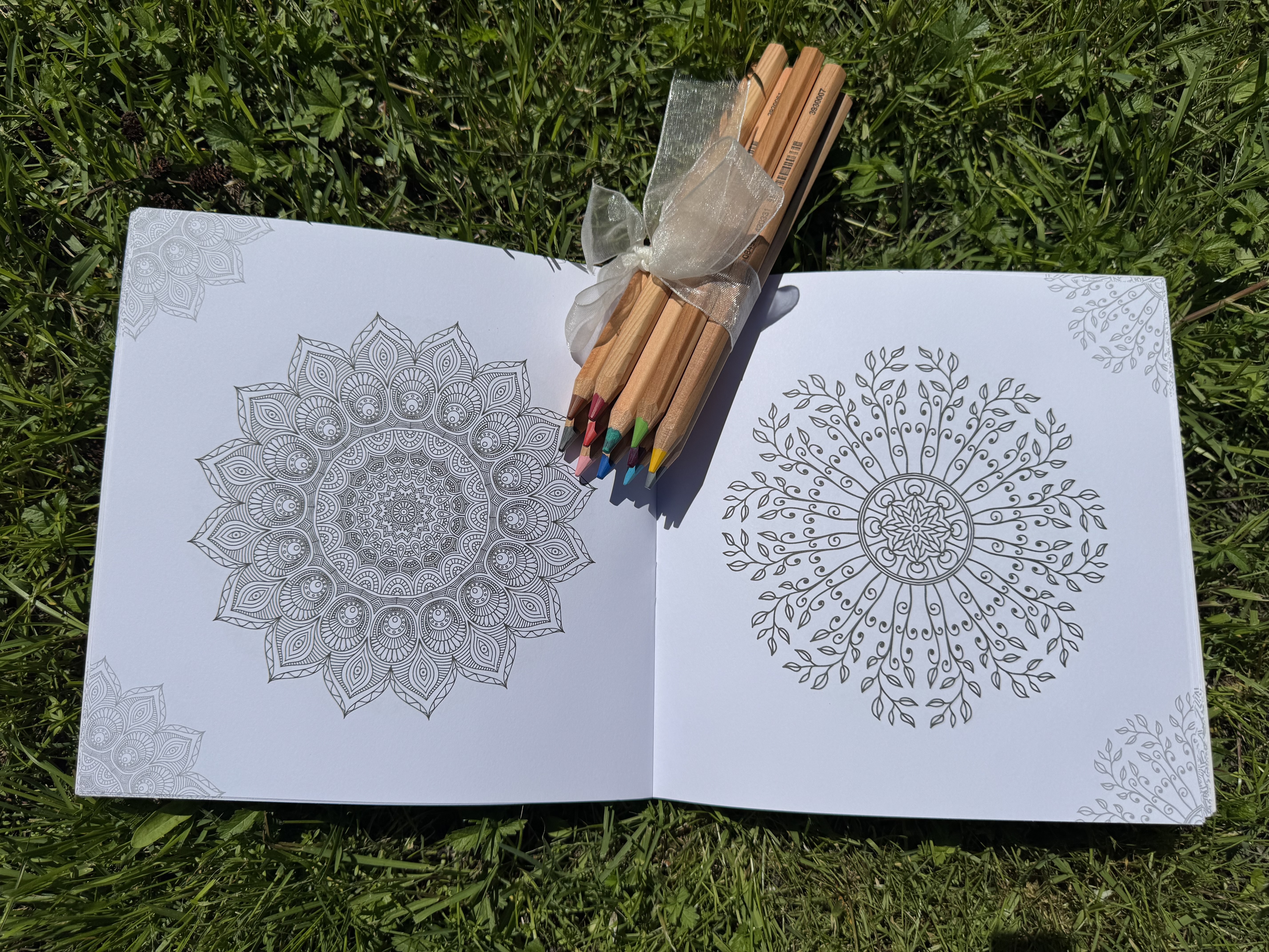 Mandala Drawing