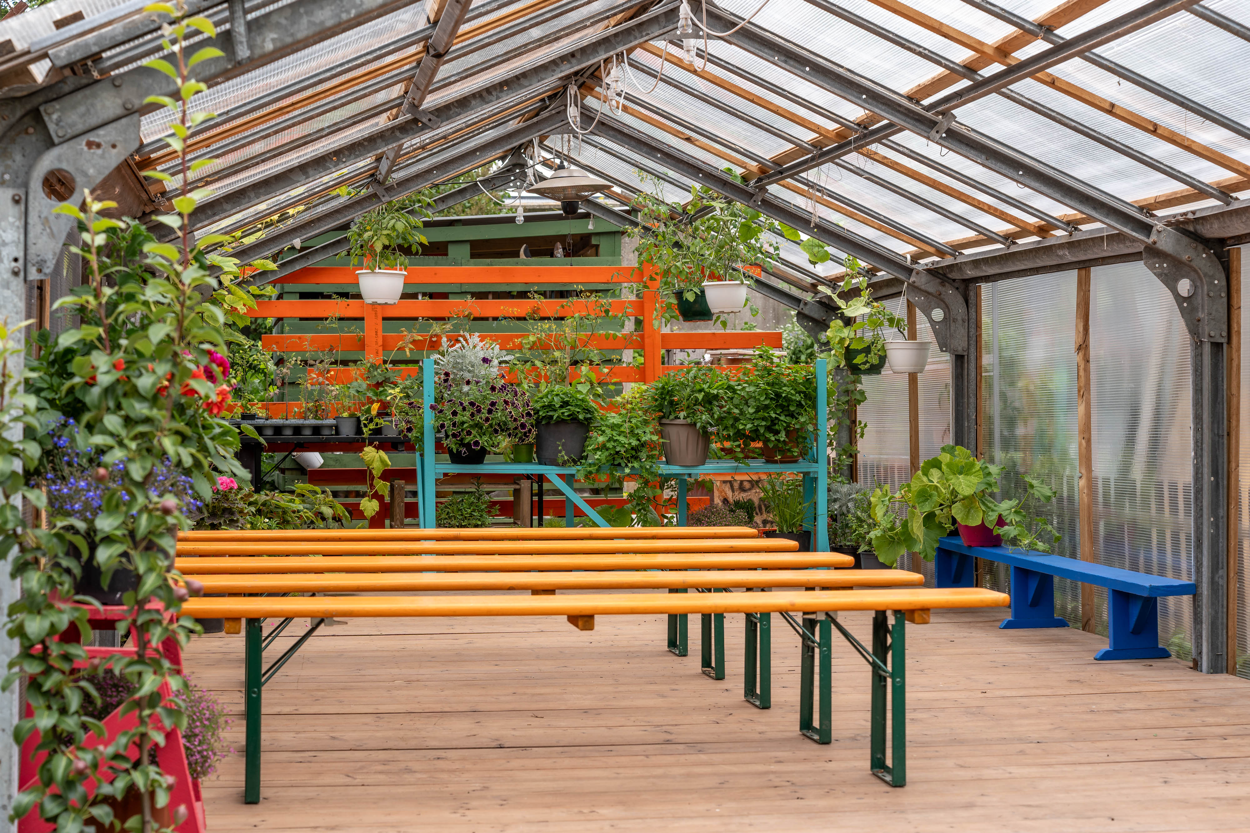 Greenhouse