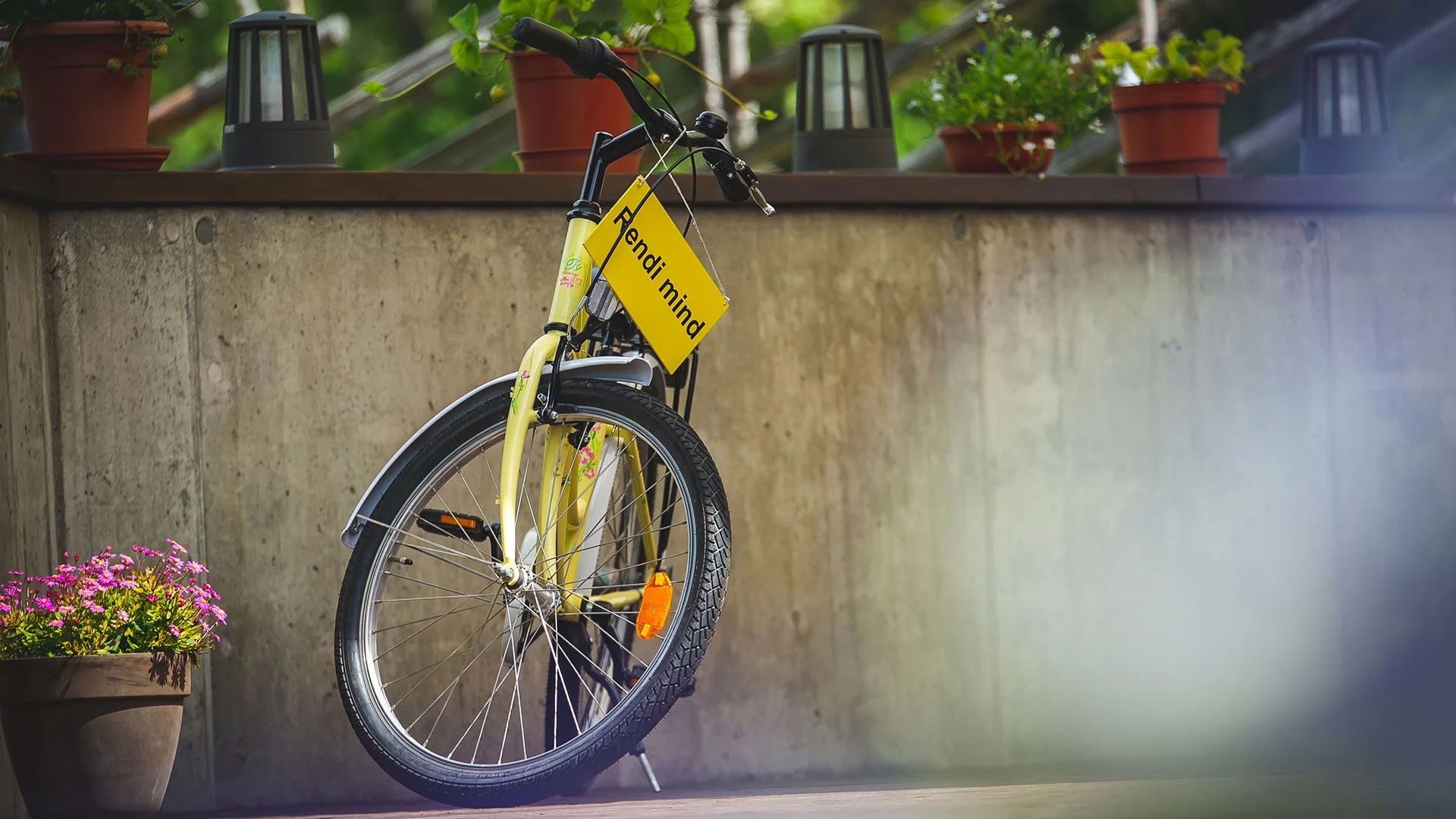 Bicycle rental