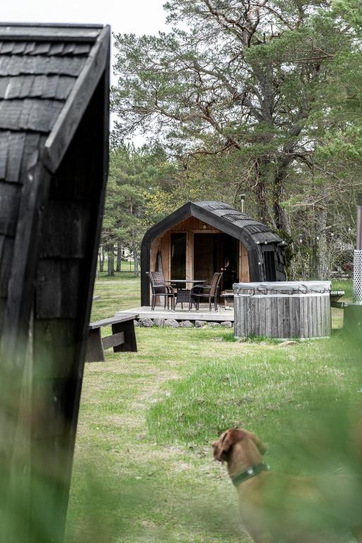 Barrel sauna