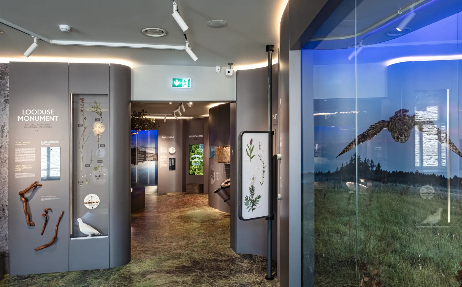 Eesti Loodusmuuseum — 5