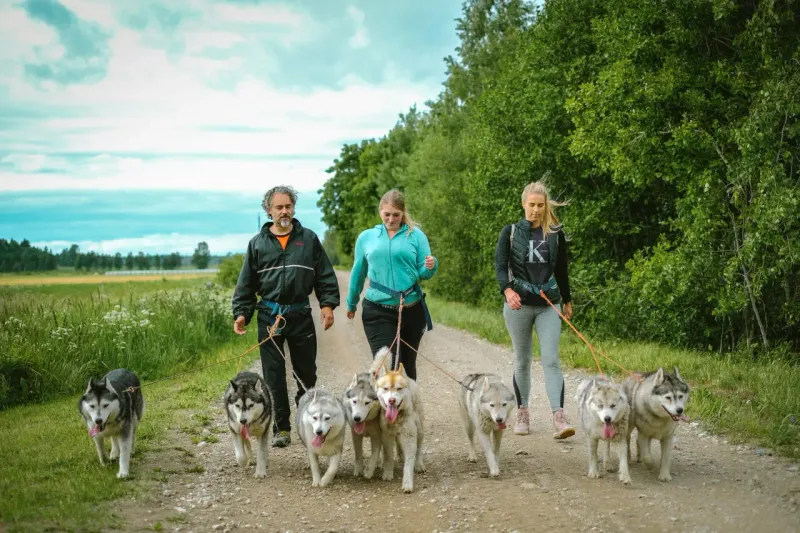 Meeskonna ühtsuse tugevdamine
