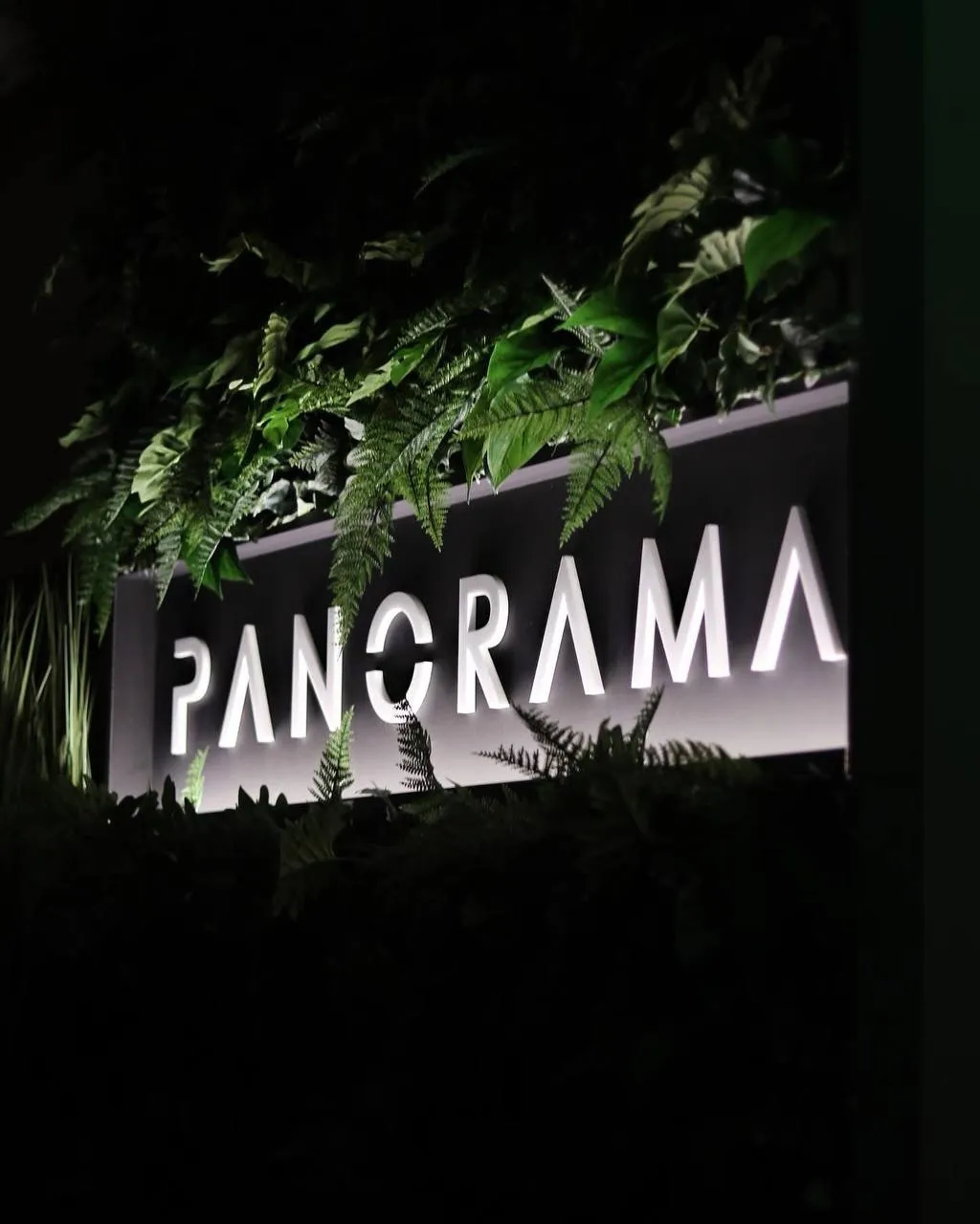 Panorama Lounge — 6